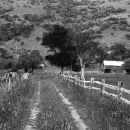 Old farm track