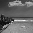 The old groyne
