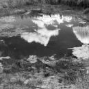 Reflections in a pool