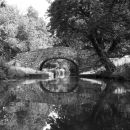 Reflections of a bridge