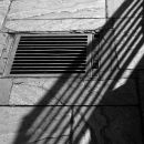 Shadows on the pavement.