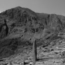 Snowdon 5