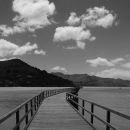 The Jetty