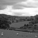 Valley fields
