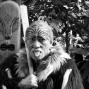 Maoris and Morris