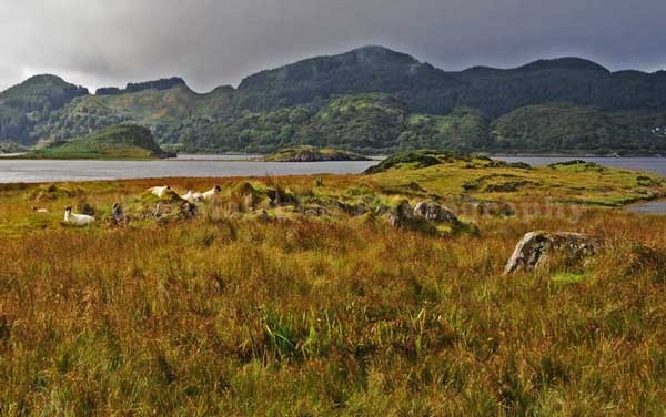 Duntrune, Argyll, Scotland