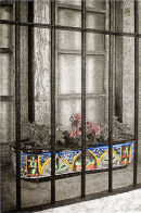 caja de la flor protegio - 6x9 intaglio print (non-toxic) 2010