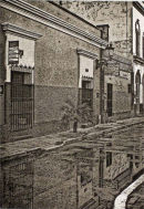 reflexiones - 6.5x9 intaglio print (non-toxic) 2010