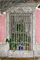 la casa de la jardinera - 6.5x10 intaglio print (non-toxic) 2010