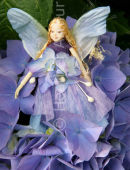 Hydrangea Fairy