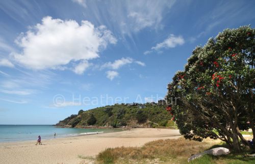 Little Oneroa Bay 3