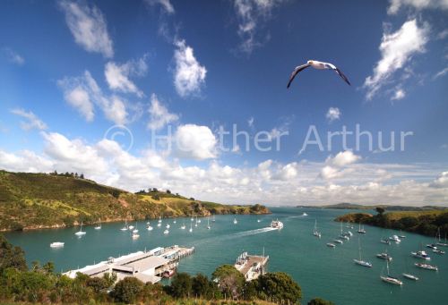 Matiatia Bay 1