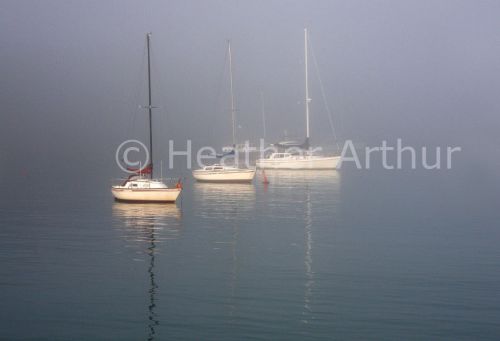 Misty Morning at Matiatia Bay