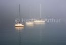 Misty Morning at Matiatia Bay