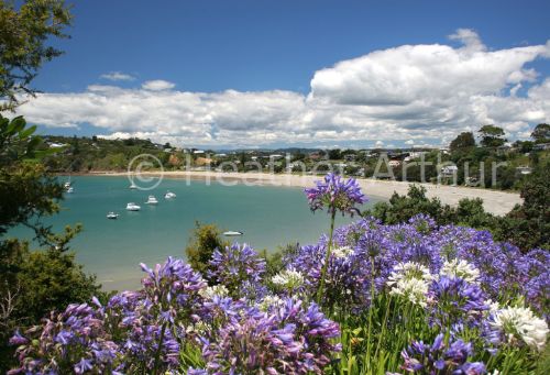 Oneroa Bay 1