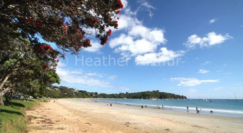 Oneroa Bay 4