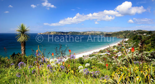 Onetangi Bay 1