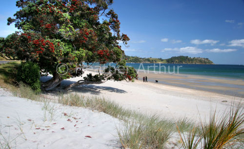 Onetangi Bay 10