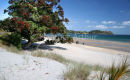 Onetangi Bay 10