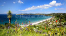 Onetangi Bay 1