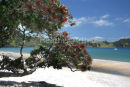Onetangi Bay 2