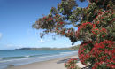 Onetangi Bay 3