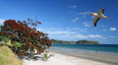 Onetangi Bay 4