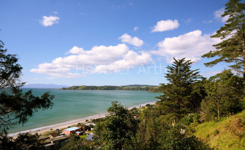 Onetangi Bay 8