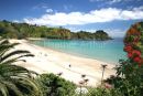 Palm Beach 4