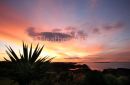 Palm Beach Sunset