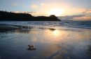 Palm Beach Sunset 2