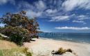 Onetangi Bay 15