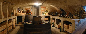 Chateau de Cocove - Cellar