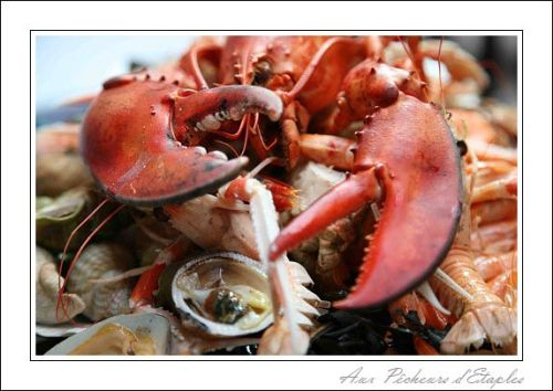 Restaurant Aux Pecheurs d'Etaples
The Assiette de Fruits de Mer
