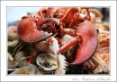 Restaurant Aux Pecheurs d'Etaples
The Assiette de Fruits de Mer
