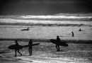 SURFIN