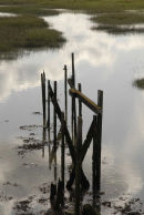Creek, Kent