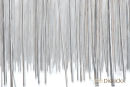 Berkenbomen, Birchen Trees, Betula