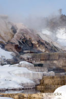 Mammoth Hot Springs, Lower terraces, Geothermal Areas of Yellowstone 