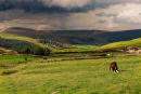 Mare & Foal in the High Peak