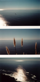 Big Sur