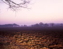Musto Landscape