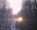 Musto Landscape