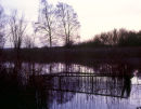 Musto Landscape