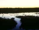 Musto Seascape