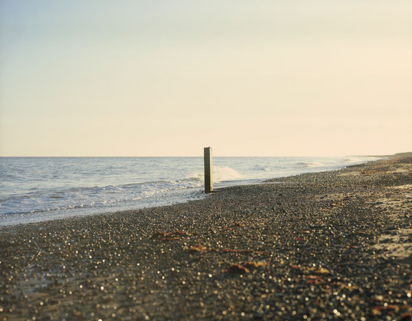 Musto Seascape