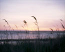 Musto Seascape