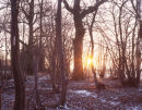 Musto Landscape