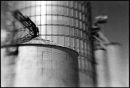 Grain Elevator 3