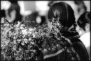 Market Flowers